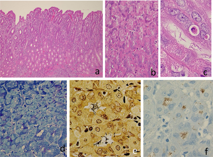 Fig. 6.