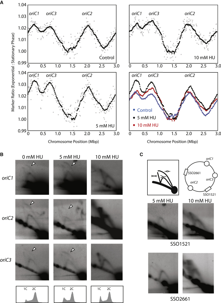 Figure 3