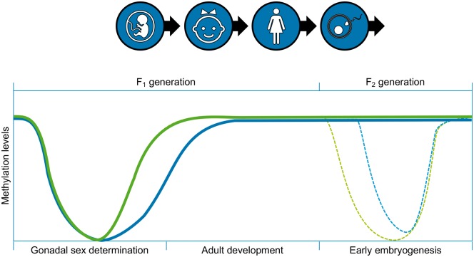 Figure 5: