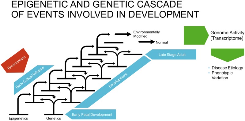 Figure 2: