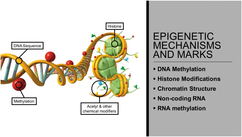 Figure 1: