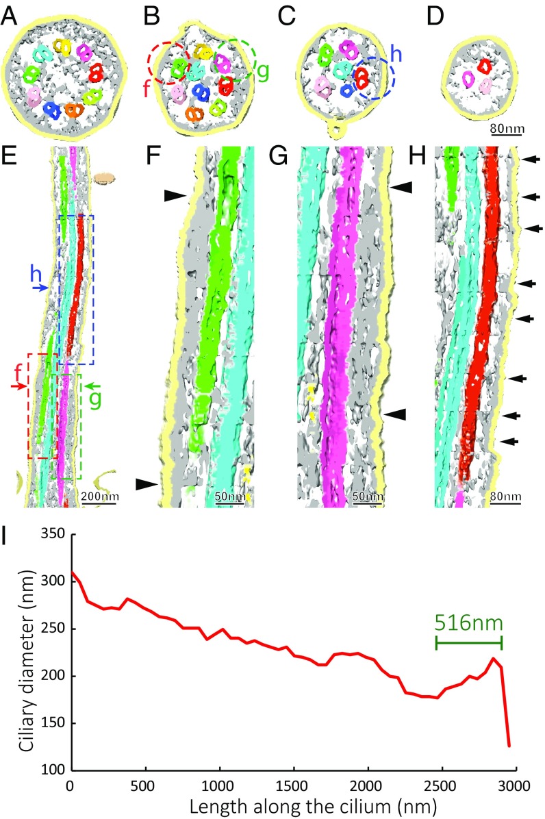 Fig. 4.