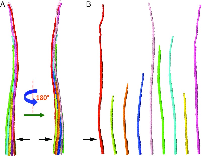 Fig. 2.