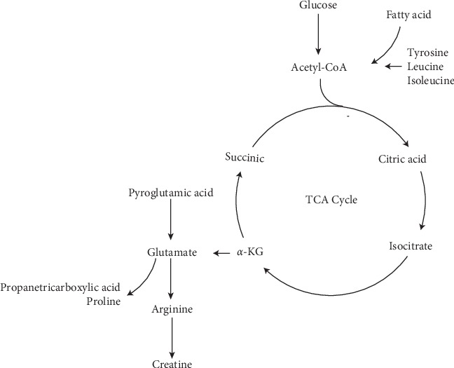 Figure 8