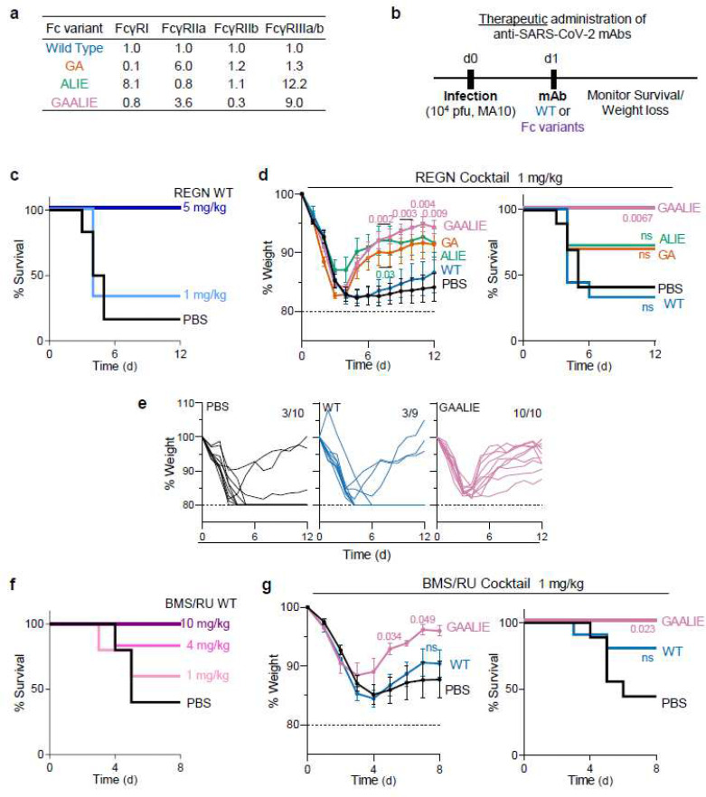 Fig. 3: