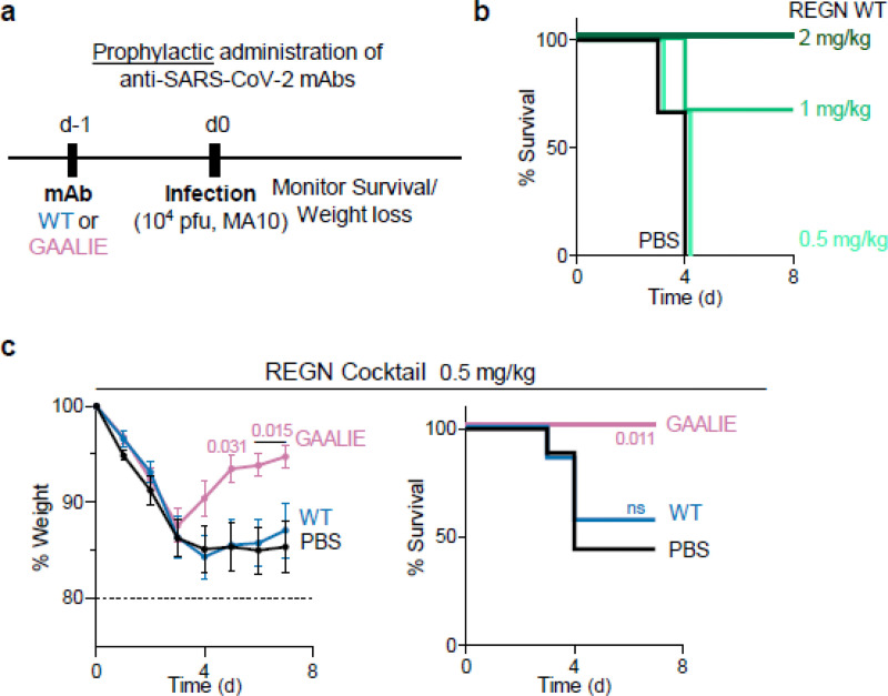 Fig. 4: