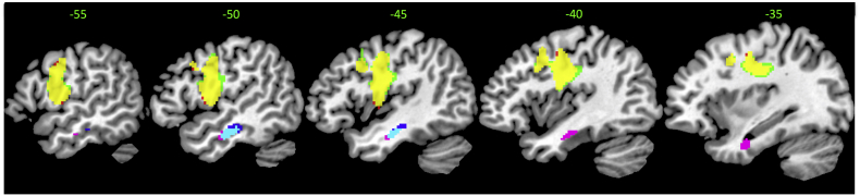 Supplementary Fig. 1.