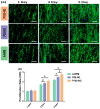 Figure 23