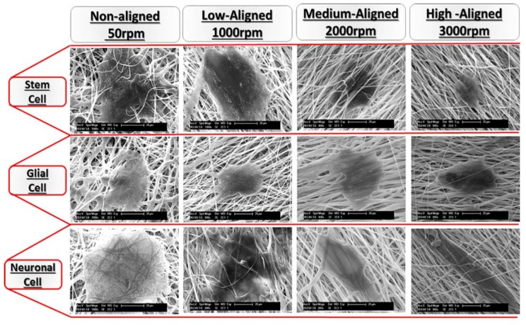 Figure 30