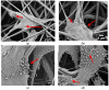 Figure 25