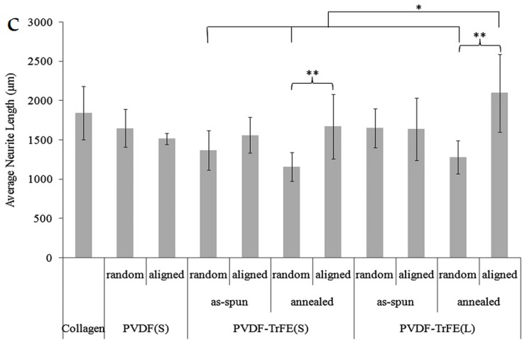 Figure 31