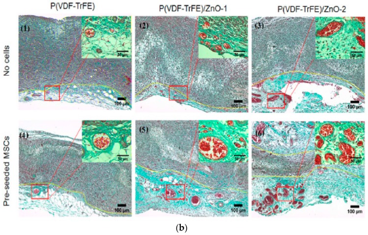 Figure 27