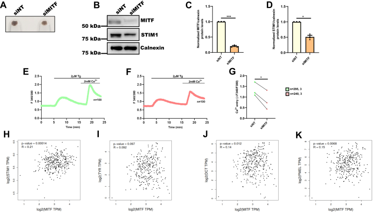 Figure 7