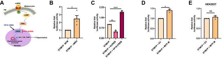 Figure 2