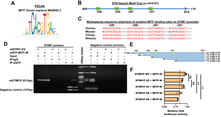 Figure 5