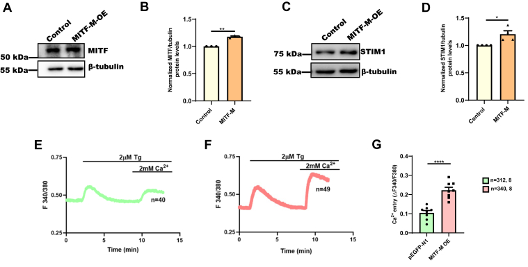 Figure 4