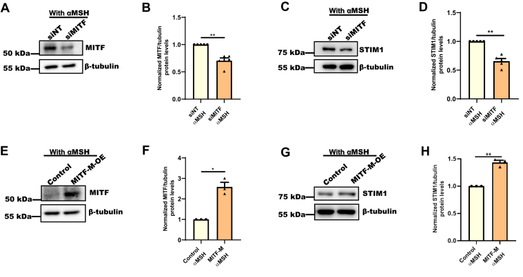 Figure 6