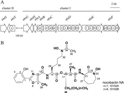 FIG. 1.