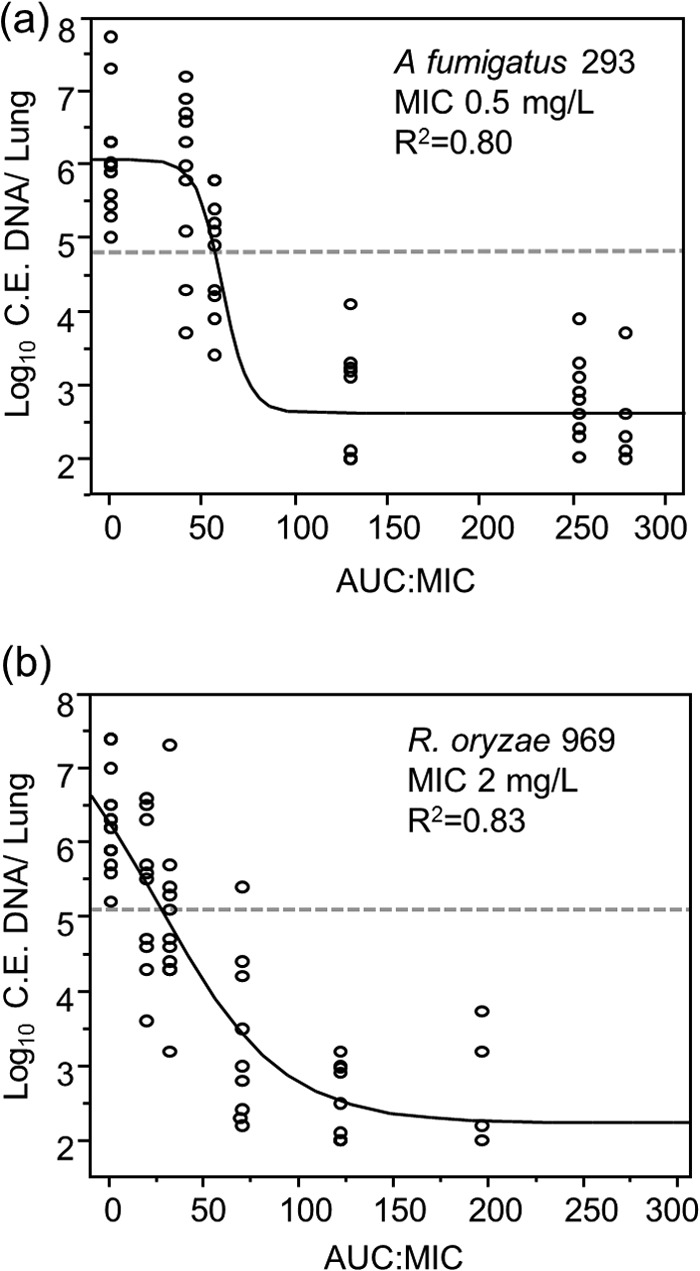 FIG 2