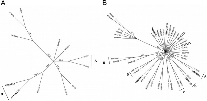 FIG 3