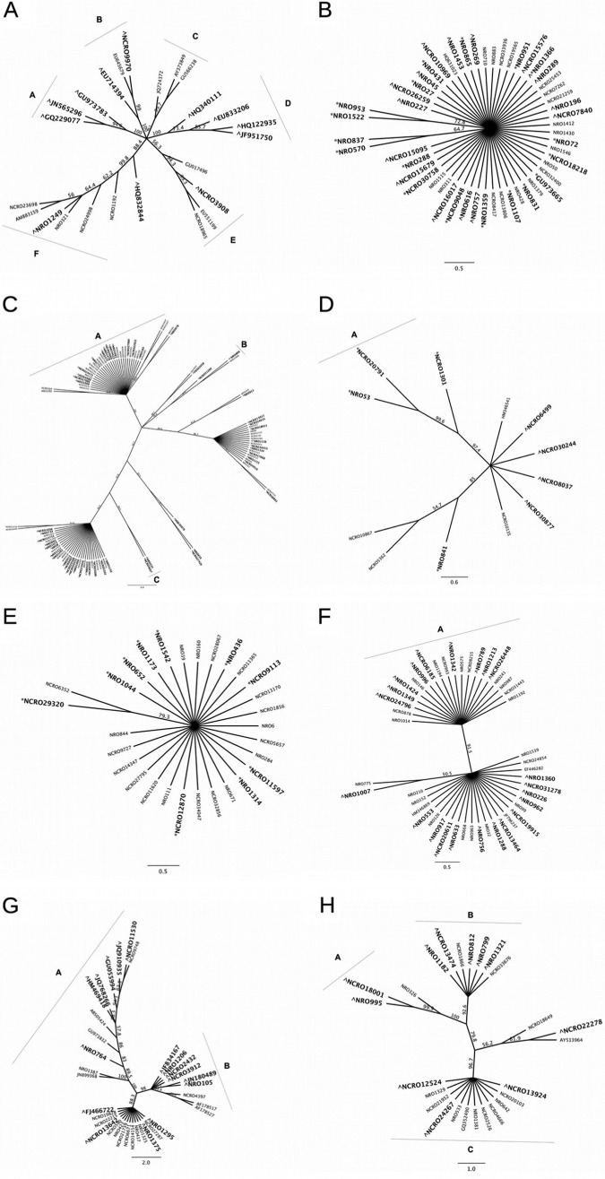 FIG 4