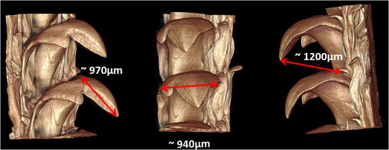 Fig. 5