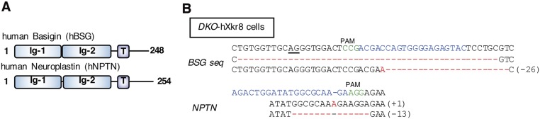 Fig. S3.