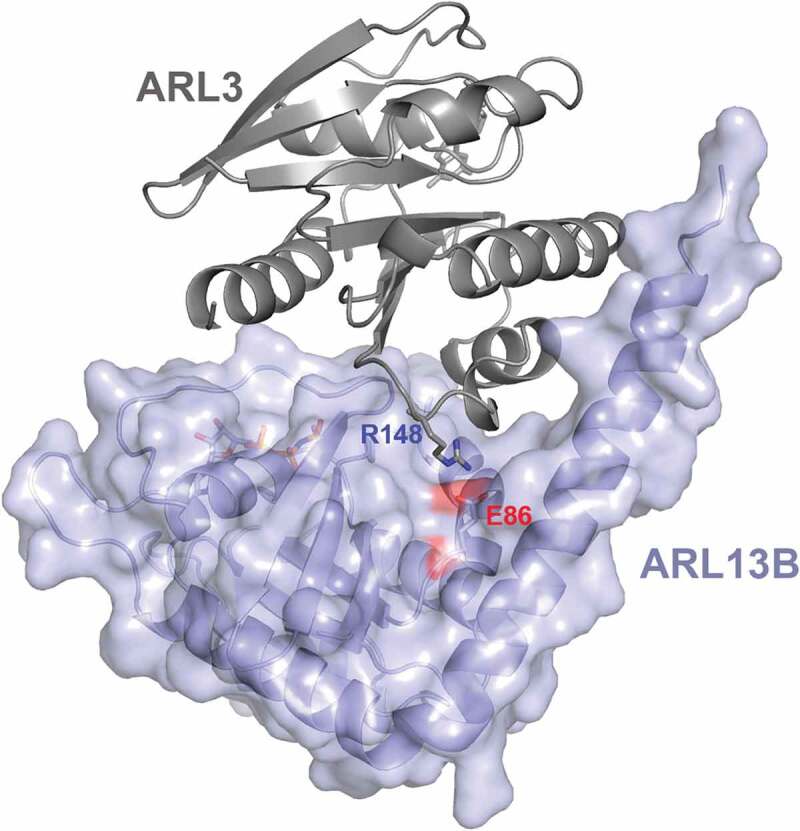 Figure 3.