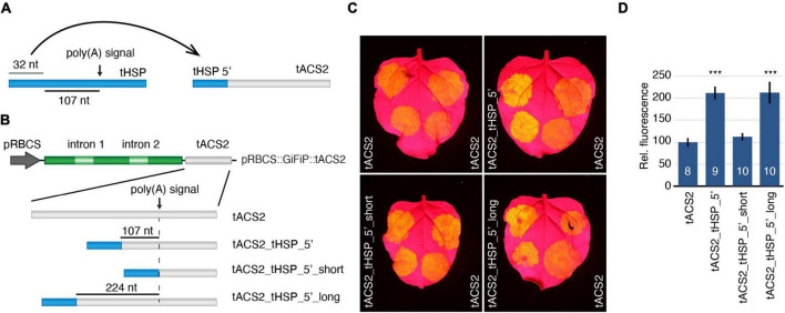 FIGURE 3