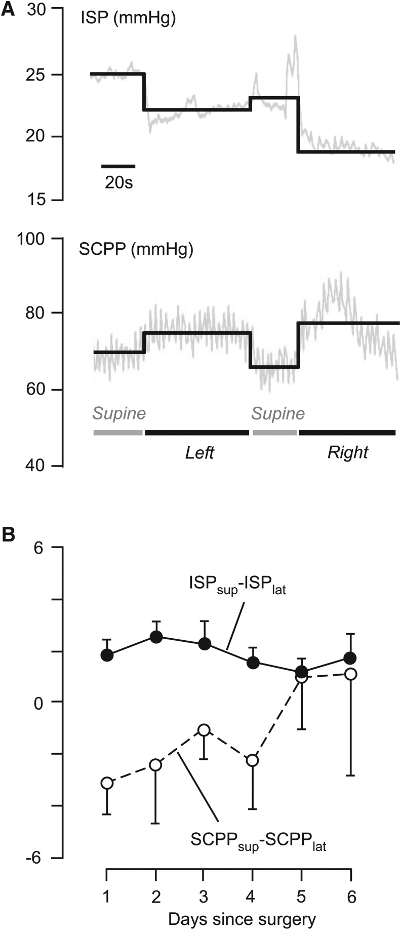 FIG. 5.