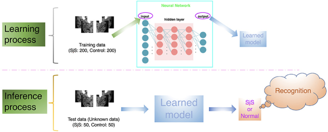 Figure 2.