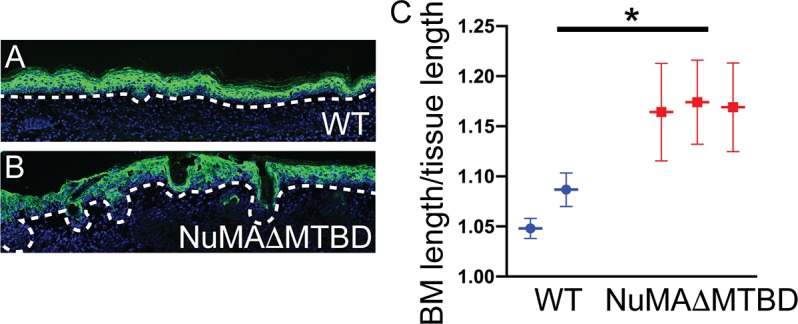 Figure 3—figure supplement 1.