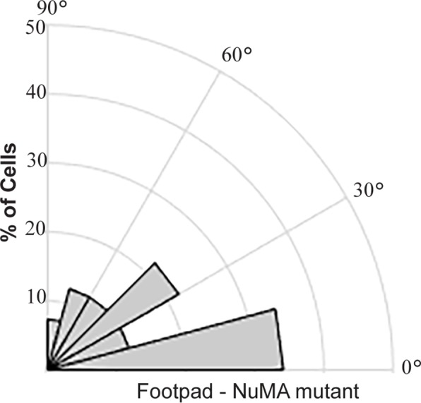 Figure 2—figure supplement 1.