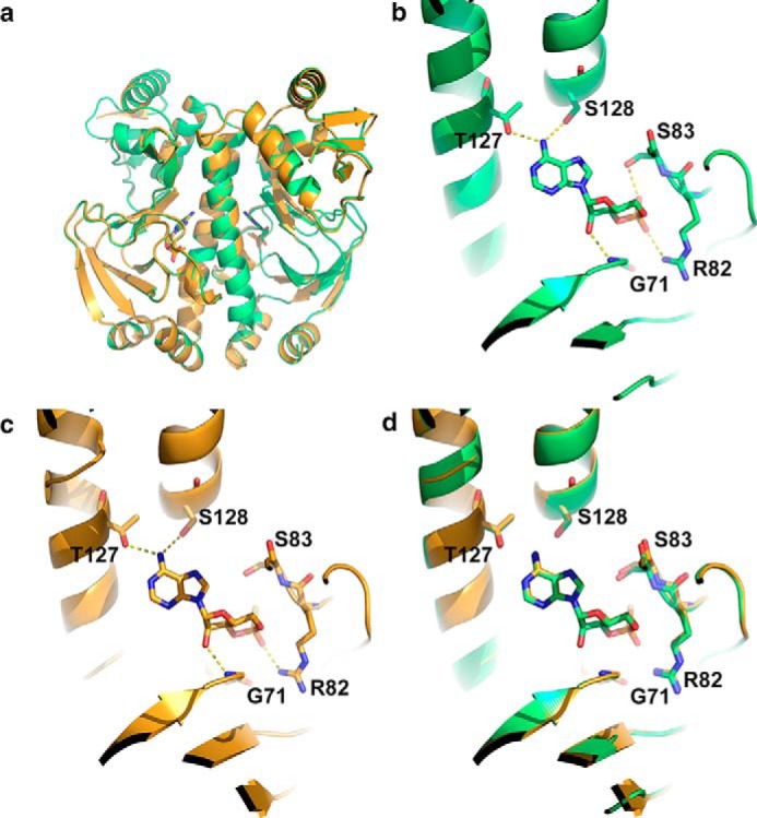 FIGURE 4.