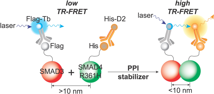 Figure 1