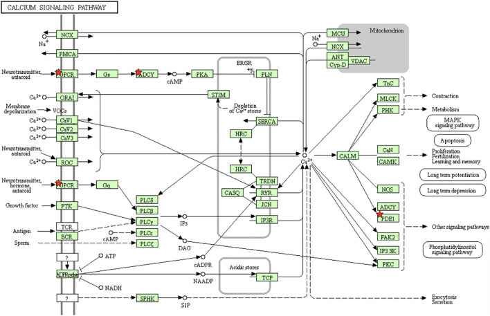 FIGURE 3