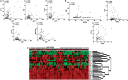 F<sc>ig</sc>. 2