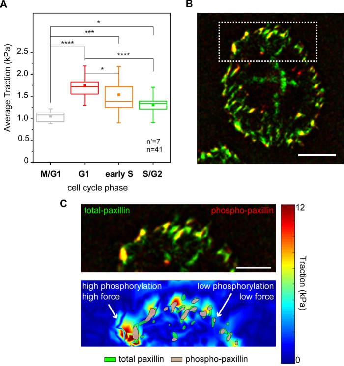 FIGURE 2: