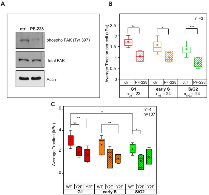 FIGURE 4: