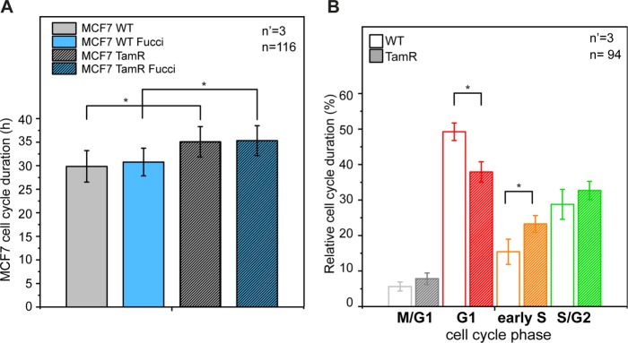 FIGURE 5: