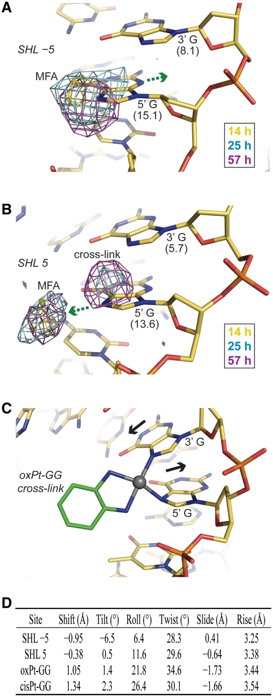 Figure 6.