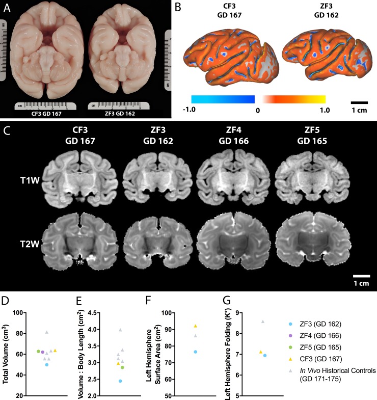 Fig 6