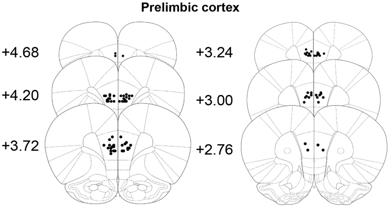 Figure 5: