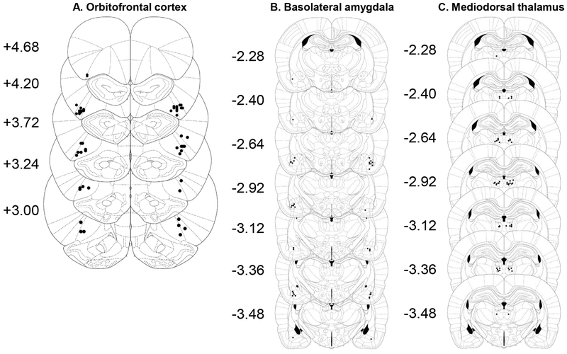 Figure 2: