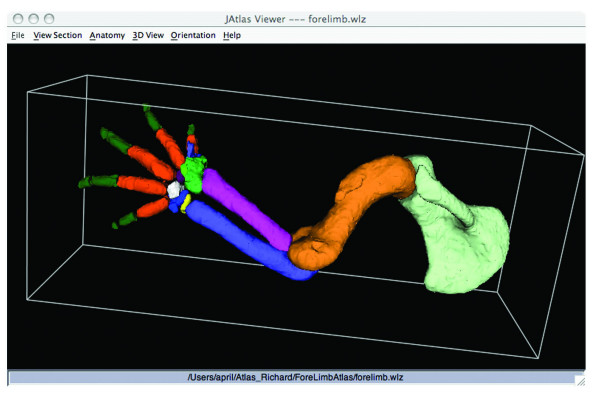 Figure 2