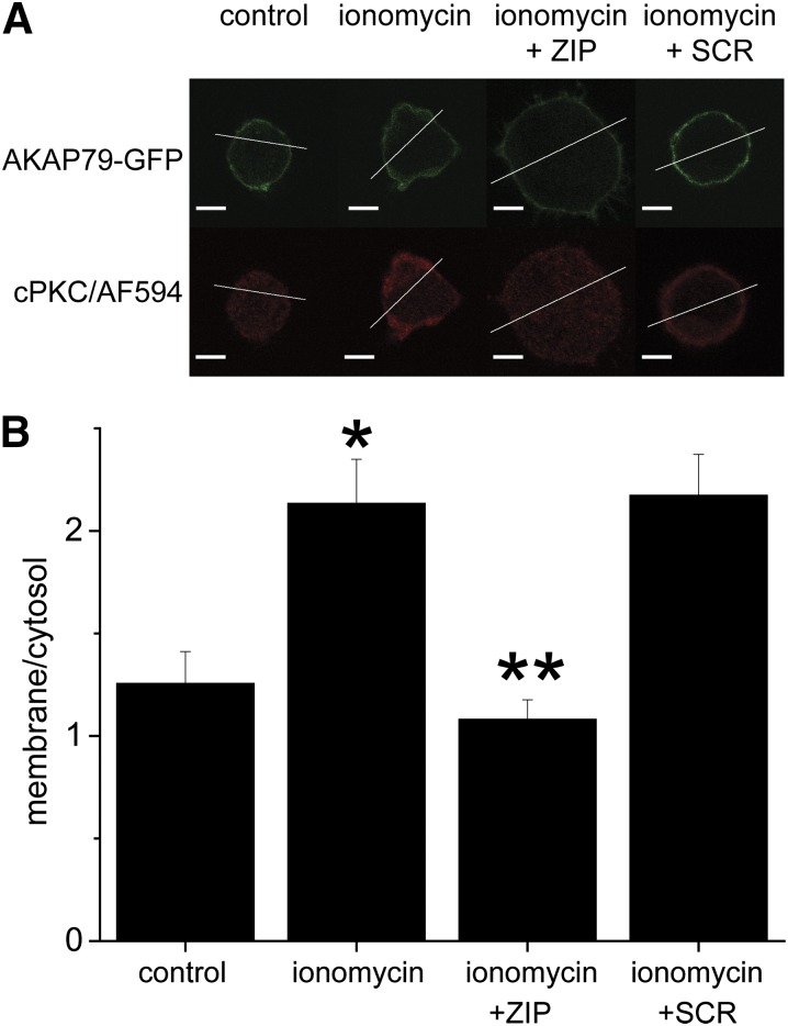 Fig. 6.