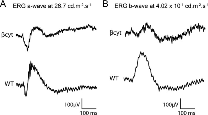 Figure 10.