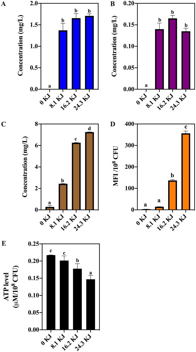 FIG 8