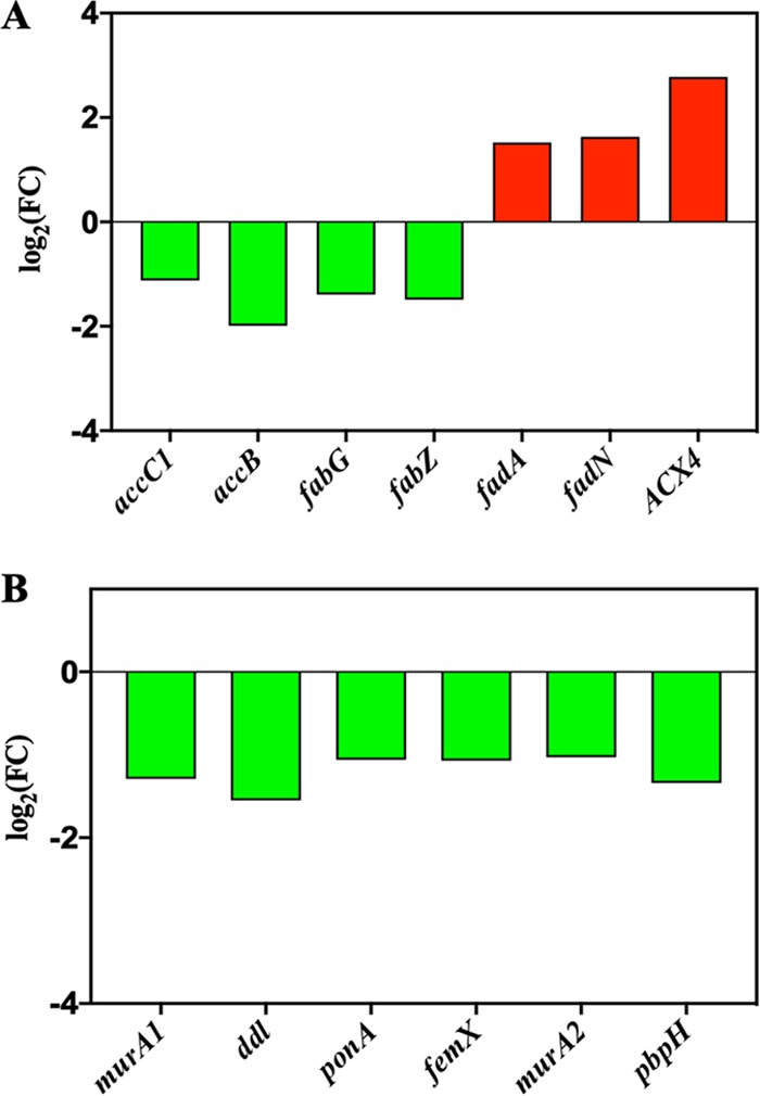 FIG 4