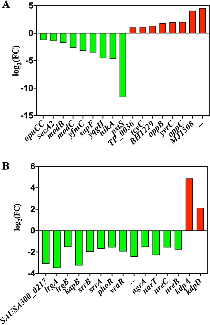 FIG 6